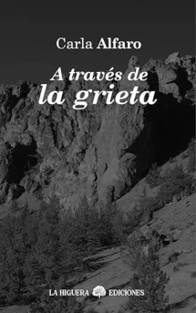 A través de la grieta