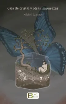 Caja de cristal y otras impurezas
