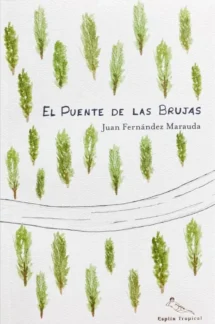 EL PUENTE DE LAS BRUJAS