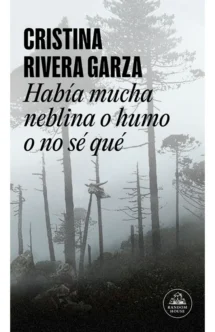 HABIA MUCHA NEBLINA, O HUMO O NO SE QUE