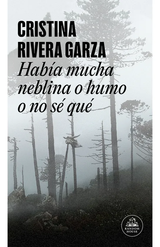 HABIA MUCHA NEBLINA, O HUMO O NO SE QUE