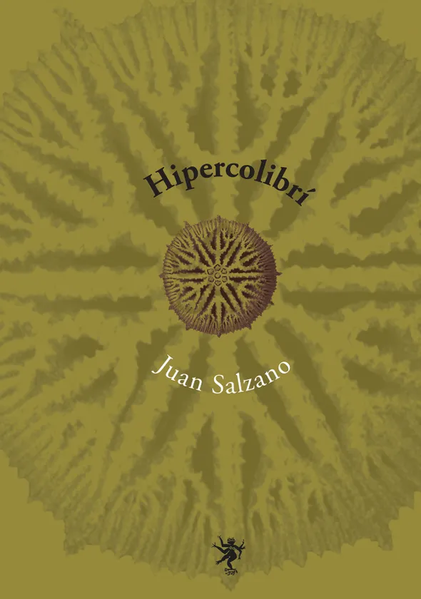 Hipercolibrí