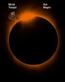 Sol negro