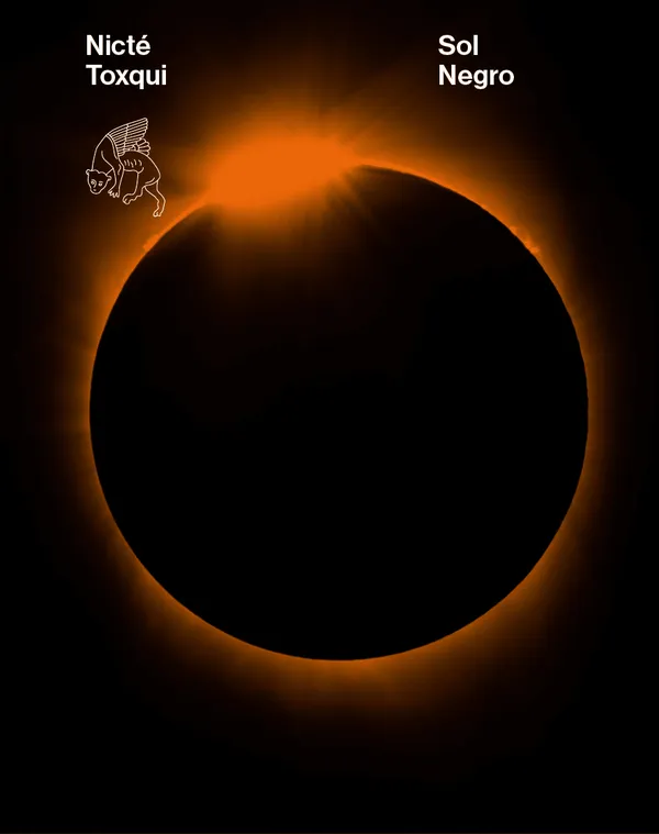 Sol negro