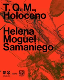TQM Holoceno