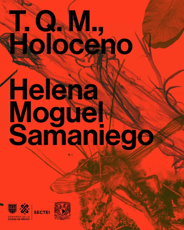 TQM Holoceno