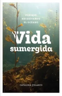 Vida sumergida: por qué necesitamos el océano
