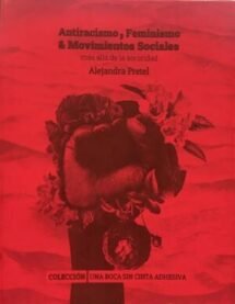 Más allá de la sororidad. Feminismos, interseccionalidad