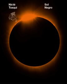 Sol negro