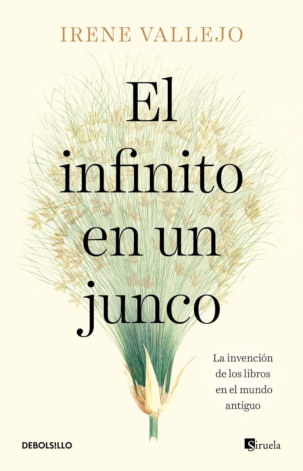 El infinito en un Junco