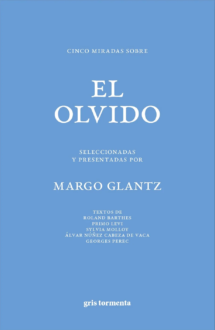 Cinco miradas sobre el olvido