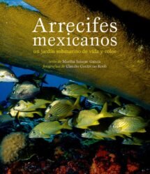 Arrecifes mexicanos. Un jardín submarino de vida y color