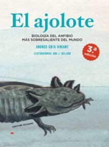 El ajolote