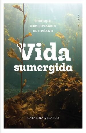 Vida sumergida. Por qué necesitamos el océano
