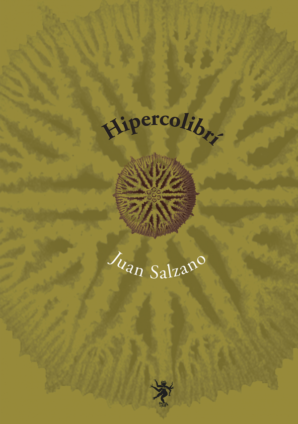 Hipercolibrí