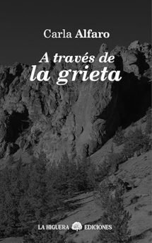 A través de la grieta