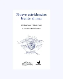 Nueve estridencias frente al mar
